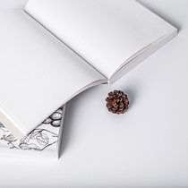 Photo Props Dry Flowers Small Pine Nuts Retro Pine Tower Fruit Pendulum ornaments Christmas shooting Decorative Gourmet Photography