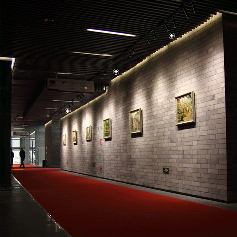 ��˹��led������XSD100-1