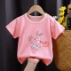 I008-Small Pink Rabbit