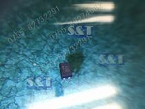 Brand new original clothing spot P781 batch long talk volume of big price eugeni