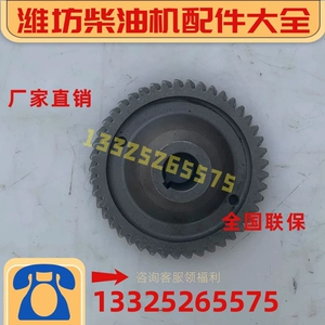 Дизельный двигатель Weifang WP6 226B Deutz, ТНВД, промежуточная шестерня, оригинал 13023016