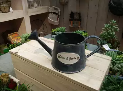 Waterproof iron flower bucket Pastoral vintage old iron hanging bucket flower pot Flower vase Flower shop fleshy flower pot Green plant