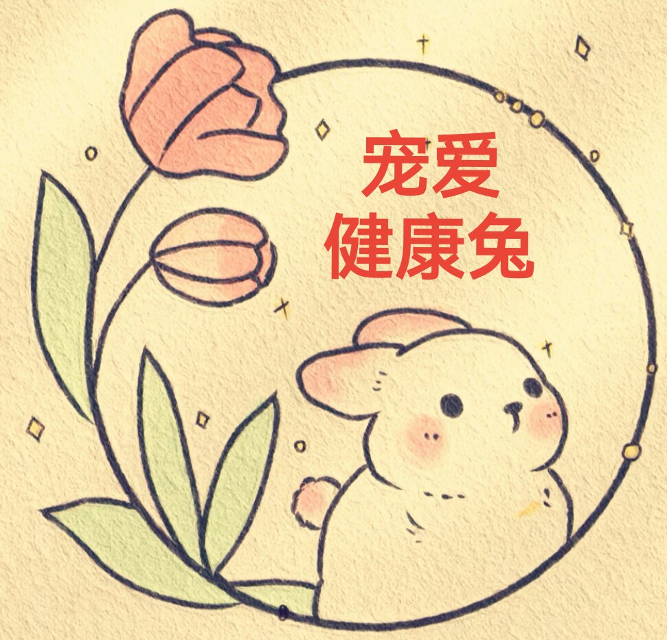 宠爱健康兔