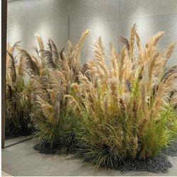 Simulated Reed Dried Flowers Fake Flowers Scandinavian ins Style Living Room Entrance Flower Arrangement Window Partition Decoration Green Plant Landscaping