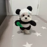 Malzes Bomei Panda Panda Pet обозначает маленькую собаку, чем медведь Тедди Смешная смешная кошка