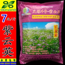 Ziyunying seeds green manure safflower grass seeds shaking livestock and poultry pasture landscape sprouts wild vegetables beekeeping honey source