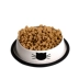 Langshi 500g ít muối làm đẹp tẩy lông lông mèo trẻ 5 thức ăn phổ quát cho mèo - Cat Staples