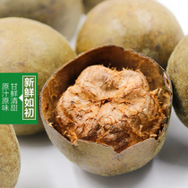 Luo Han Guo Dried Fruit Tea Guilin Guangxi