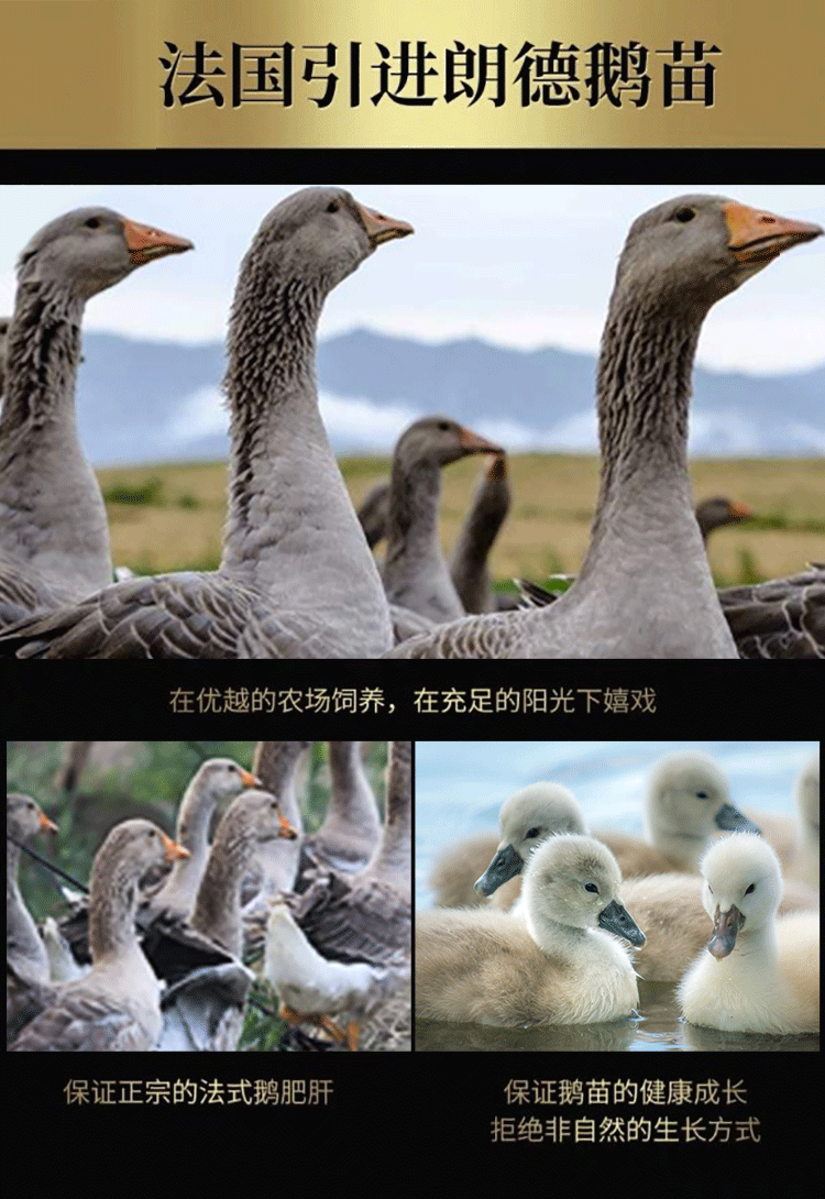 颐鲜堂 法式特级肥鹅肝 250g 图2