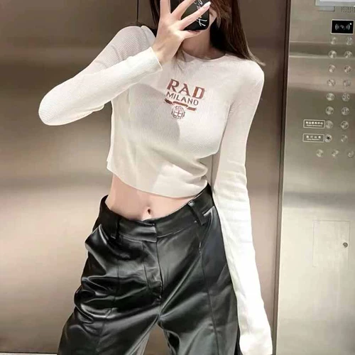 Осенний короткий приталенный дизайнерский лонгслив, тренд сезона, круглый воротник