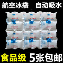 24G thick bio aviation ice bag express seafood cherry fruit food fresh refrigerated self-absorbent dry ice bag