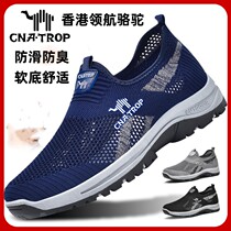 Hong Kong Pilot Camel Hollow Breathable Mesh Shoes Mens Lightweight Dad Casual Shoes Middle-aged and Elderly Anti-Slip Soft Sole Summer Shoes