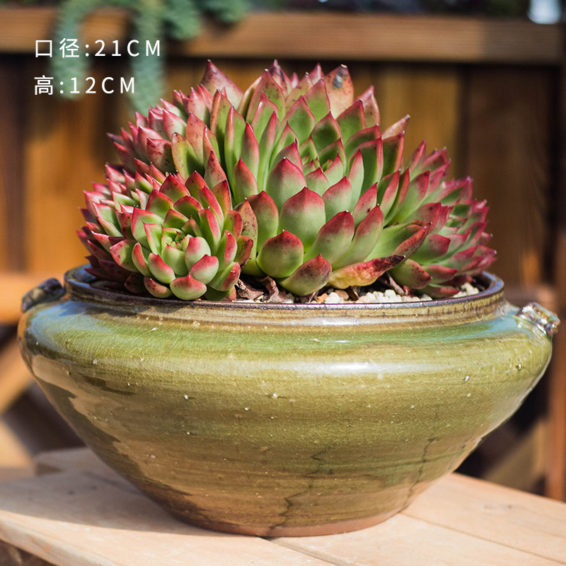 (Bangyong Shangpin) 8483 to 8490 One thing and one shot of various coarse pottery pots live (1