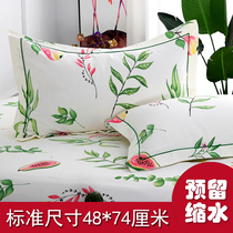 Old coarse cloth pillowcases a pair of summer cotton coarse linen pillow leather thick pillow sleeve simple 48 × 4cm