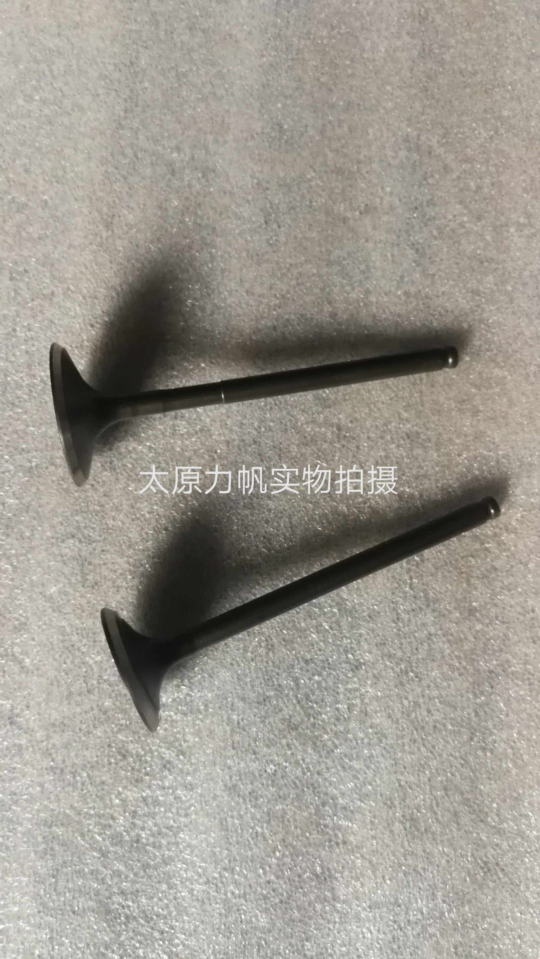 Lifan Original Parts LF200-10L 10P 3B 10R KPT KPM KPS200 Intake Valve Exhaust