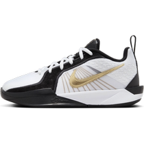 Nike Nike official boys and girls SABRINA 2 big childrens actual basketball childrens shoes autumn new anti-torsion FQ7377