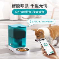 Smart pet automatic feeder SOLO cat and dog food timing self-feeding machine auto pet feeder