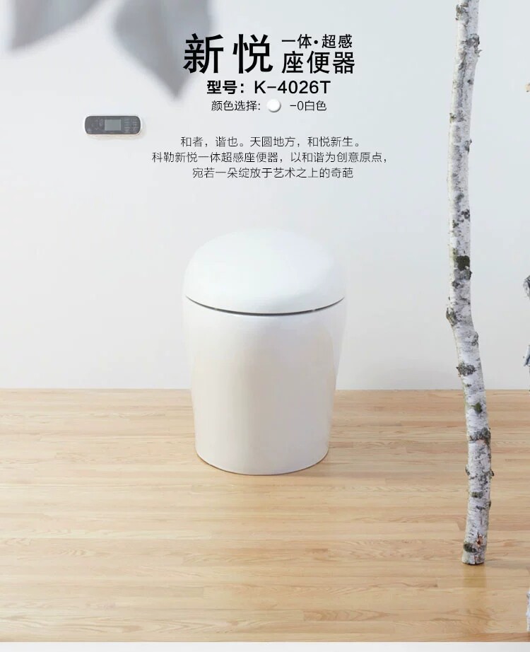 Cole New Yue One Super Sense Toilet