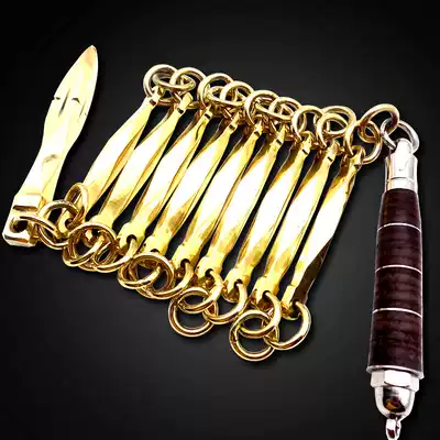 Octagonal cowhide handle Pure brass stainless steel nine-section whip Beginner martial arts performance practical self-defense training whip tutorial