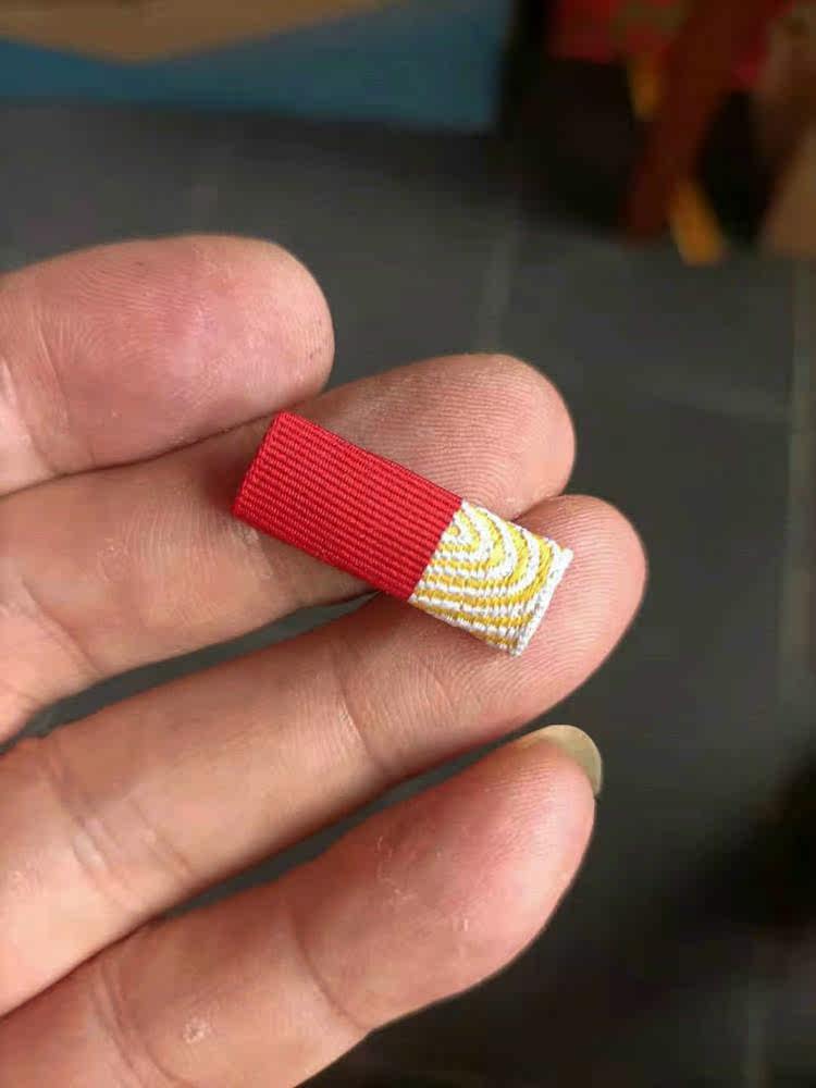 Bayi Medal Abbreviated Chapter 55 Style Bayi Medal