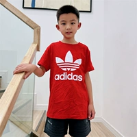 HC9586 Red Single T -For