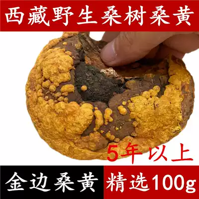 Tibetan wild Mulberry Mulberry Super 100g Tibetan Phellinus wild Ganoderma lucidum whole free slice