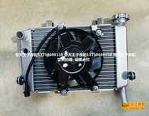 Suitable for small yellow dragon BJ250-15 15A water tank fan water tank assembly radiator