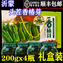 Yi Mengshan Refreshing Scent of Chinese toon Sprout Salted with Fragrant Toon Sprouts of Chinese Toon Sprouts of Chinese Toon Jam of the Toon Jam of the Chinese toon.