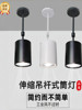 Ceiling-Mounted Led Spotlight, Surface-Mounted Pendant Spotlight, Industrial-Style Cylindrical Dual-Use Spotlight for Shopping Malls and Restaurants, Cob Cylindrical Shape