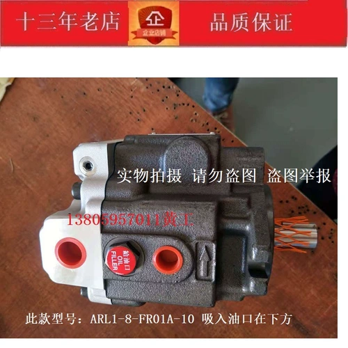 Тайваньское исследование нефти Юкен Плунжер Насос ARL1-16-FR01S-10 ARL1-8-FR01A-10 10 12