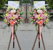 Hangzhou flowers express Phalaenopsis rose opening and housewarming celebration flower basket delivered by the same city entity florist
