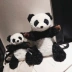 Cô gái mềm mại dễ thương túi đeo vai nữ mini hoạt hình dễ thương sang trọng gấu trúc ba lô búp bê vai 2018 làn sóng mới balo đeo chéo nam Ba lô