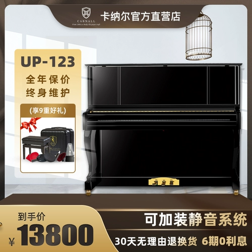 Канальская серия декораций серии домов вертикальное пианино