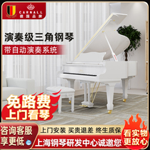 Kanal Playing Grade Triangle Professional Home German Brand Beginner Professional Exam Grade Automatic Play