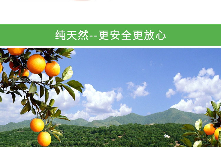 新鲜水果高维C水果鲜橙子有机水果 标准果10