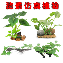 High emulation plant water grass reptile box amphibious ecosystem cylinder rainforest build-up green planting tree frog ciliary box decoration
