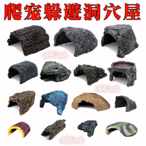 Reptile hiding from caves climbing and hiding corner frogs to host crab Snake Patron Lizard Cave Climbing to View Rock