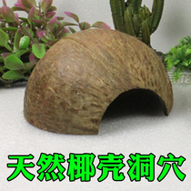 Climbing Darling Cave Shelter From Natural Coconut Shell Tree Cave Small Nest Hide Spider Scorpion Sustench Crab Corner Frog Cave Building