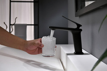 Ral winner victory single handle single hole black art faucet storm struck BL