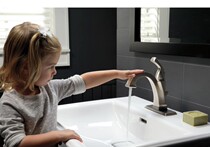 DELTA Deer Da Deya imported under-table basin faucet Dryden