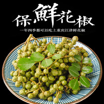 Sichuan green pepper fresh green pepper fresh rattan pepper vacuum fresh vine pepper 350g spicy fresh fragrance