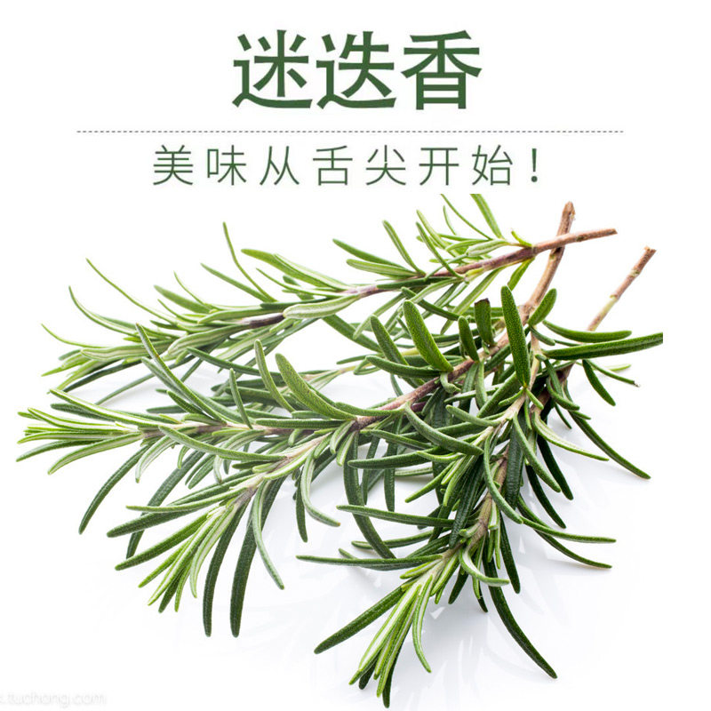 Fresh rosemary Western Meal Seasoned with fresh Spice Steak Seasonings Spices 50 gr Bag