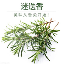 Fresh Rosemary Western seasoning but fresh spice steak seasoning spice 50g bag