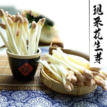 Peanut Sprouts Bean Sprouts Fresh to eat Vegetable Hot Pot Ingredients Strings of Spicy Hot and Delicious Sweet 250 gr