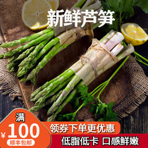 Asparagus Green Fresh Vegetables Rooting Extra Asparagus Fresh Crisp Seasonal Vegetables 500g Fresh Asparagus