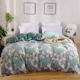 Mùa thu và mùa đông dày ấm pha lê quilt bìa bông đơn mảnh cộng với flannel nhung lông cừu san hô 	chăn phao siêu rẻ	