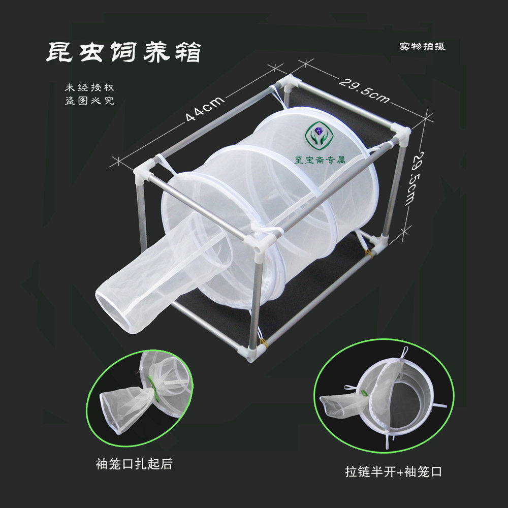 昆虫饲养笼 蚊子苍蝇饲养 蝴蝶蚱蜢笼 病媒疾控饲养箱 蚕宝萤火虫