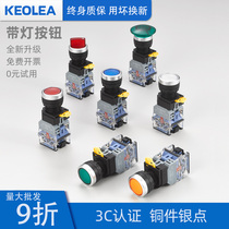 With light button switch 22 self-lock reset flat head point movement switch 24220 V red green start mushroom knob