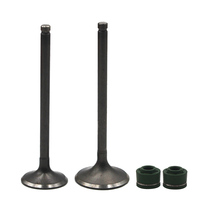 Wang Wild Motorcycle Accessories WY125T-8C-83C-4C-17C -36C Super Houmai State Three Valves Valves