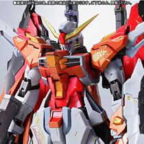 Japanese version OF Bandai SOUL LIMITED METAL BUILD MB Heine DESTINY GUNDAM SEED SPOT
